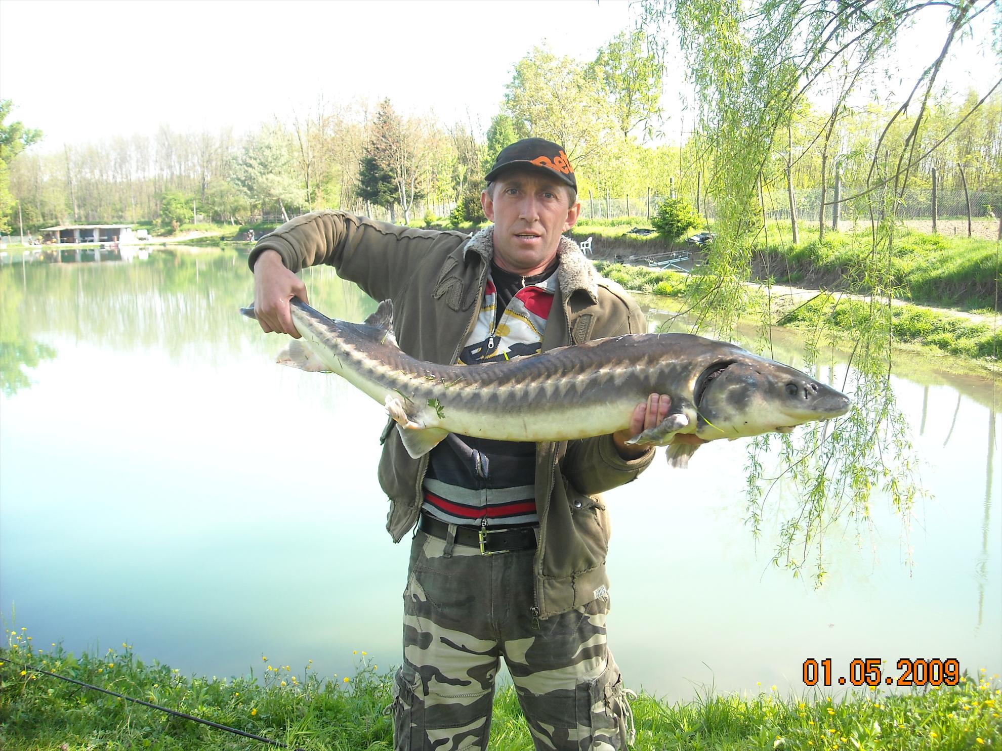 florian tanasa - pescuit-184.jpg